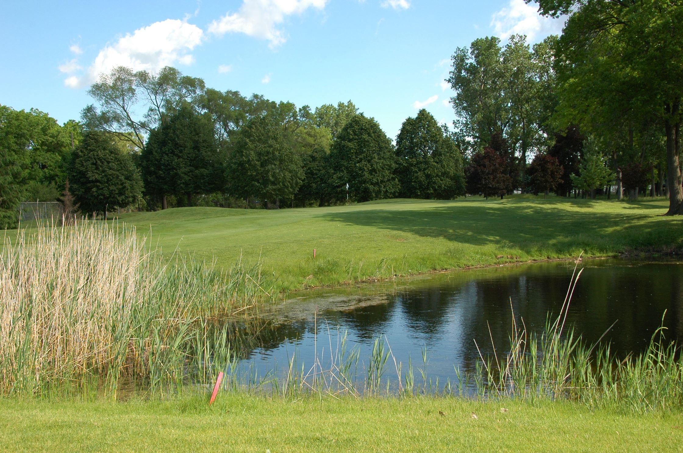 A view of the beautiful scenery of the Taylor Meadows Golf Course.